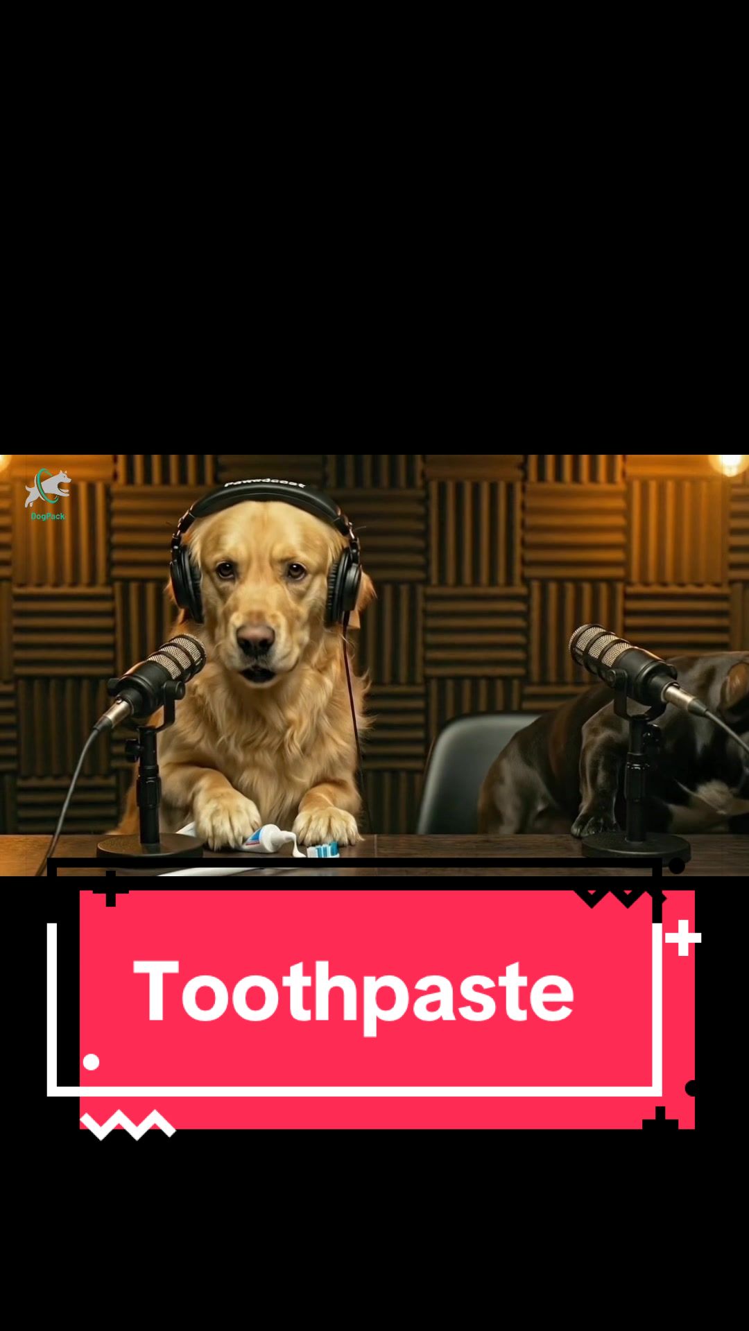 @DogPack