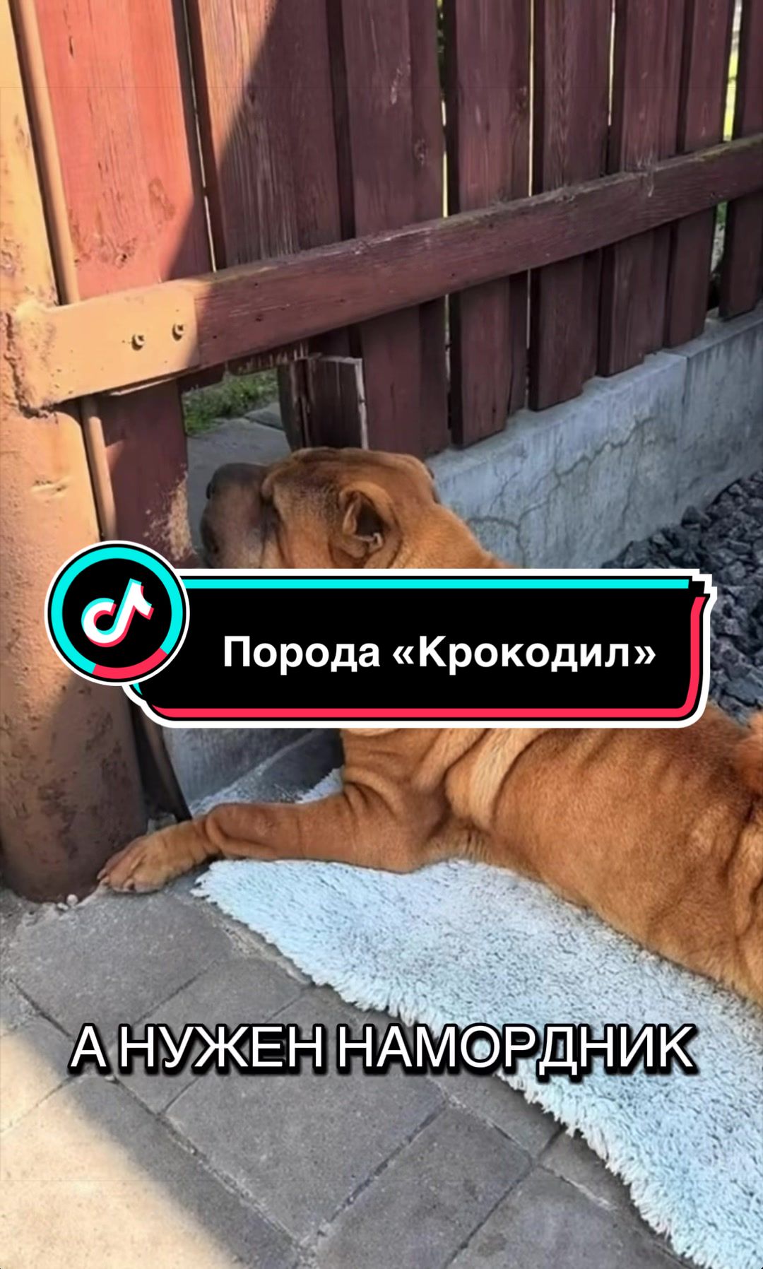 @Саня Пагон &clubs;️
