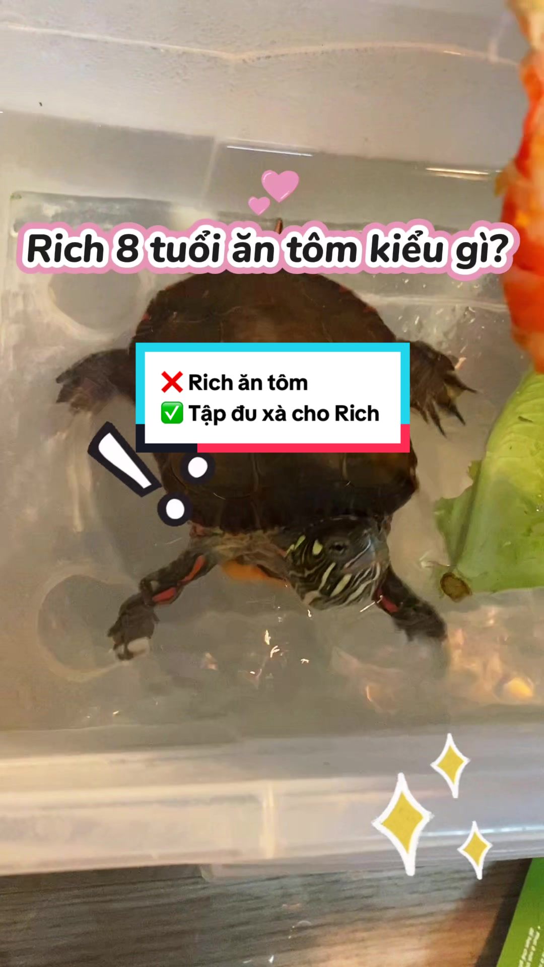 @Nh&agrave; c&oacute; r&ugrave;a v&agrave; ch&oacute;