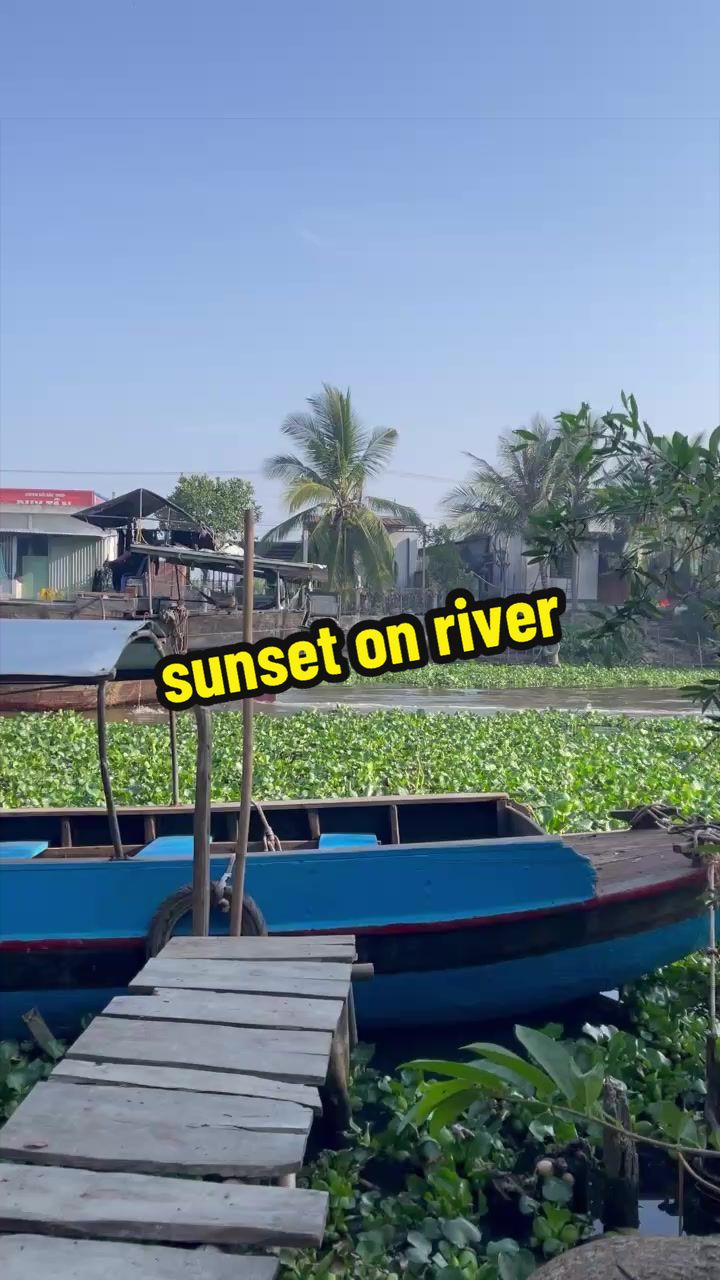 @Sunny Tour Guide