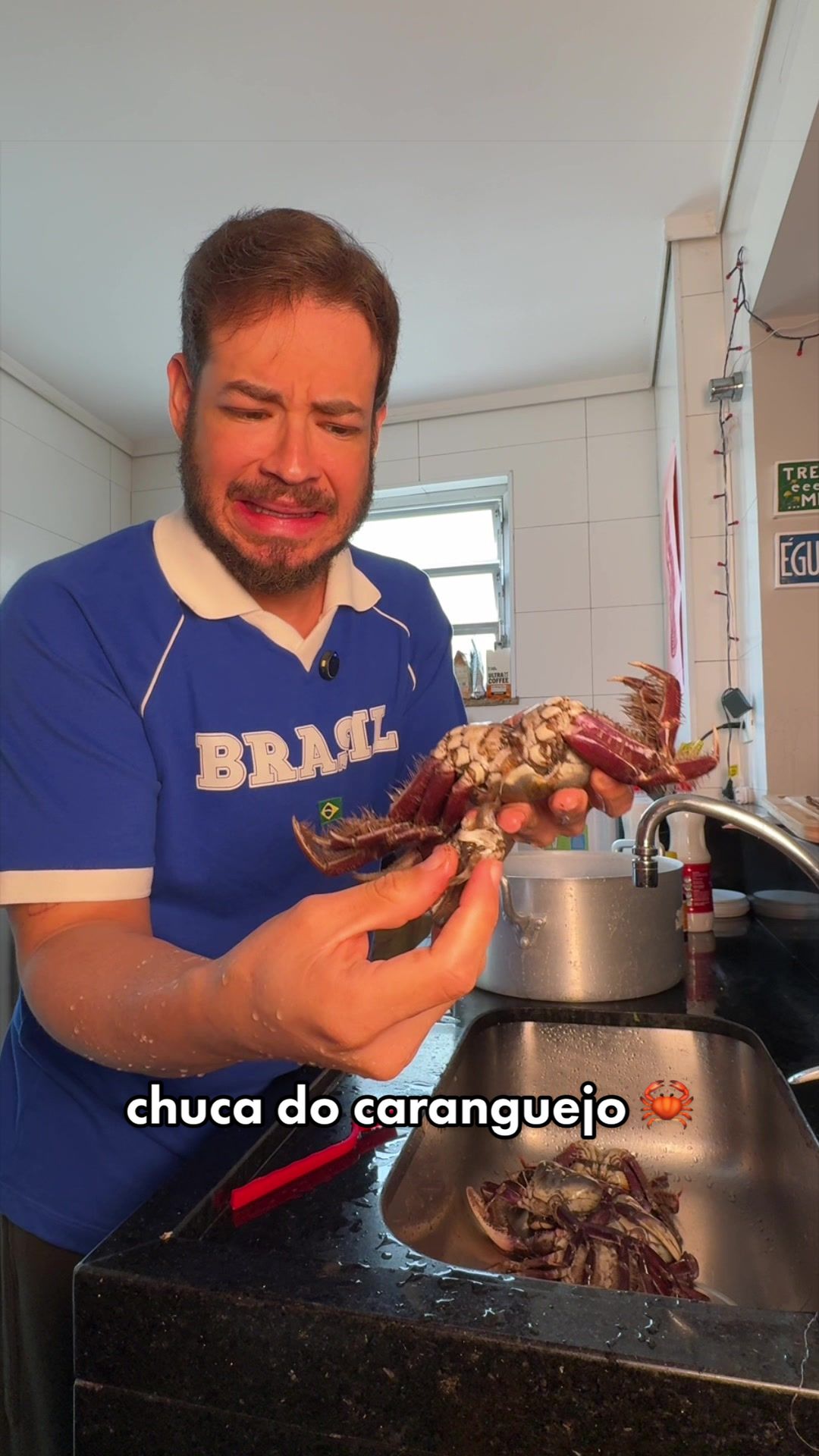 @Pedro Freitas
