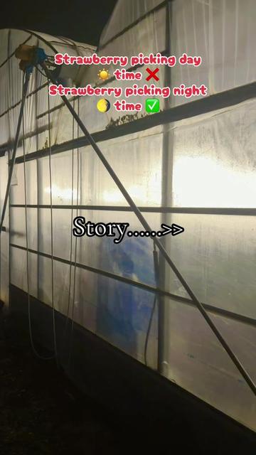 @I.am.me77