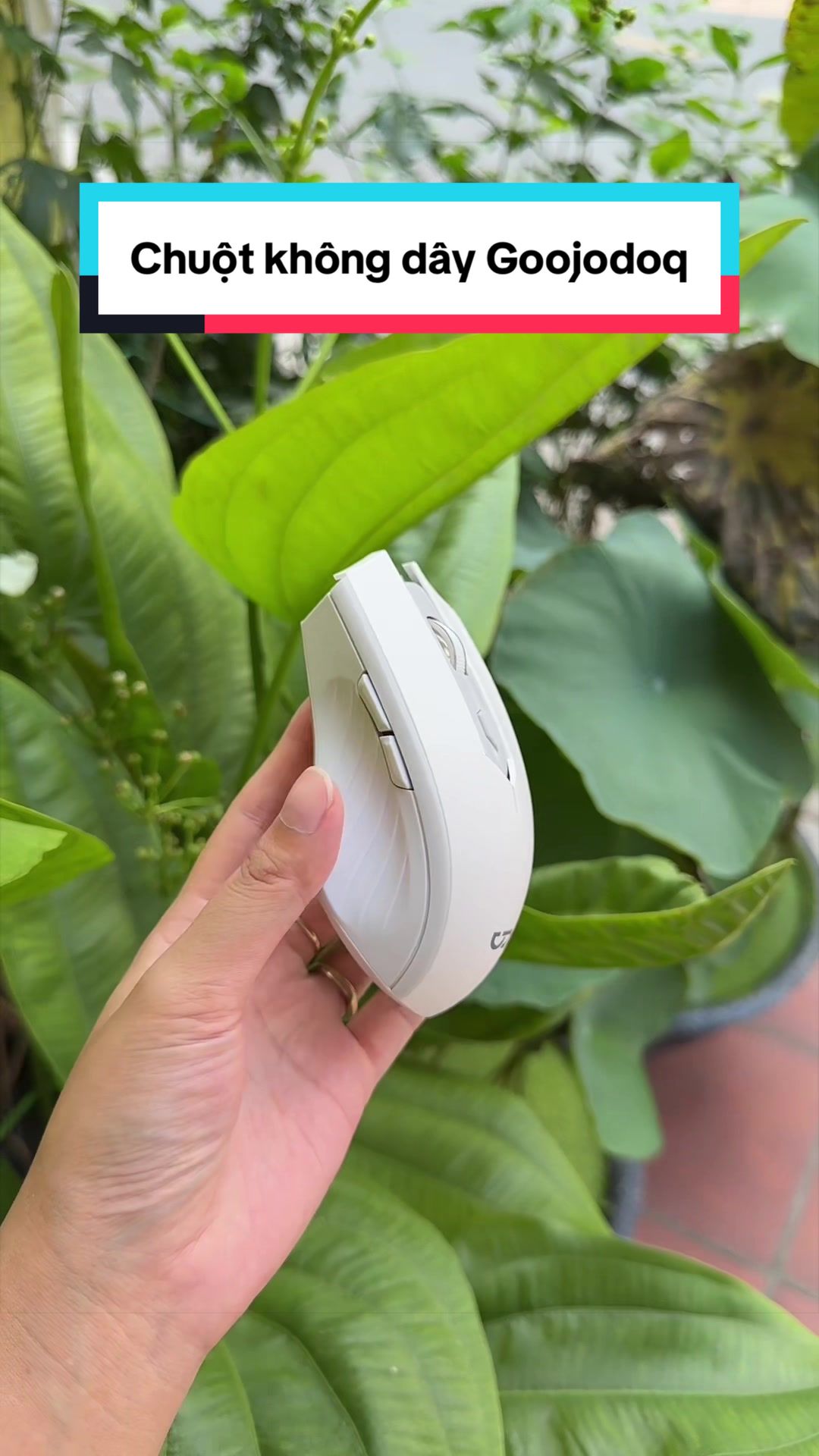 @Tuấn Bình Thường