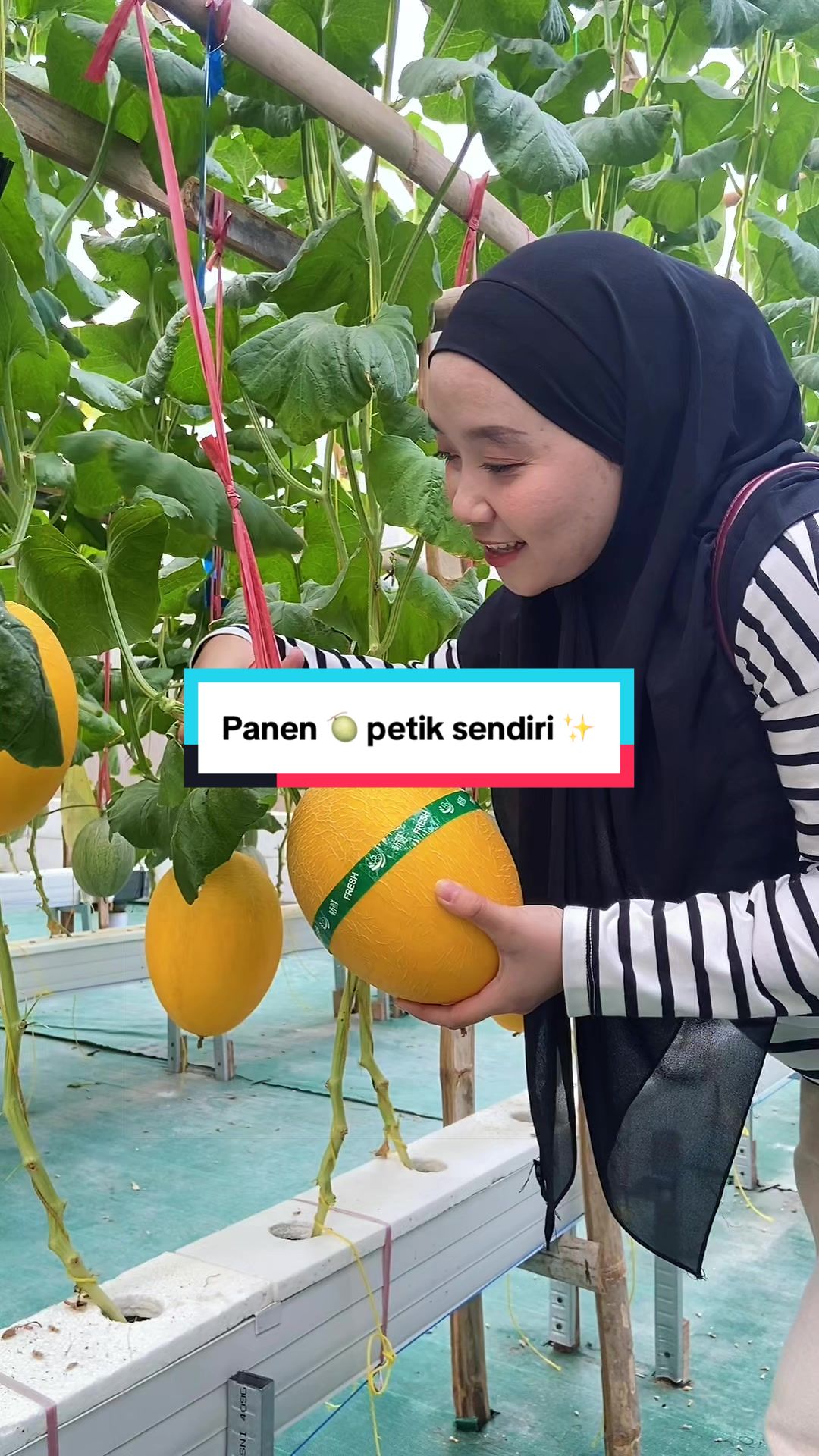 @IG:@rannycahya29