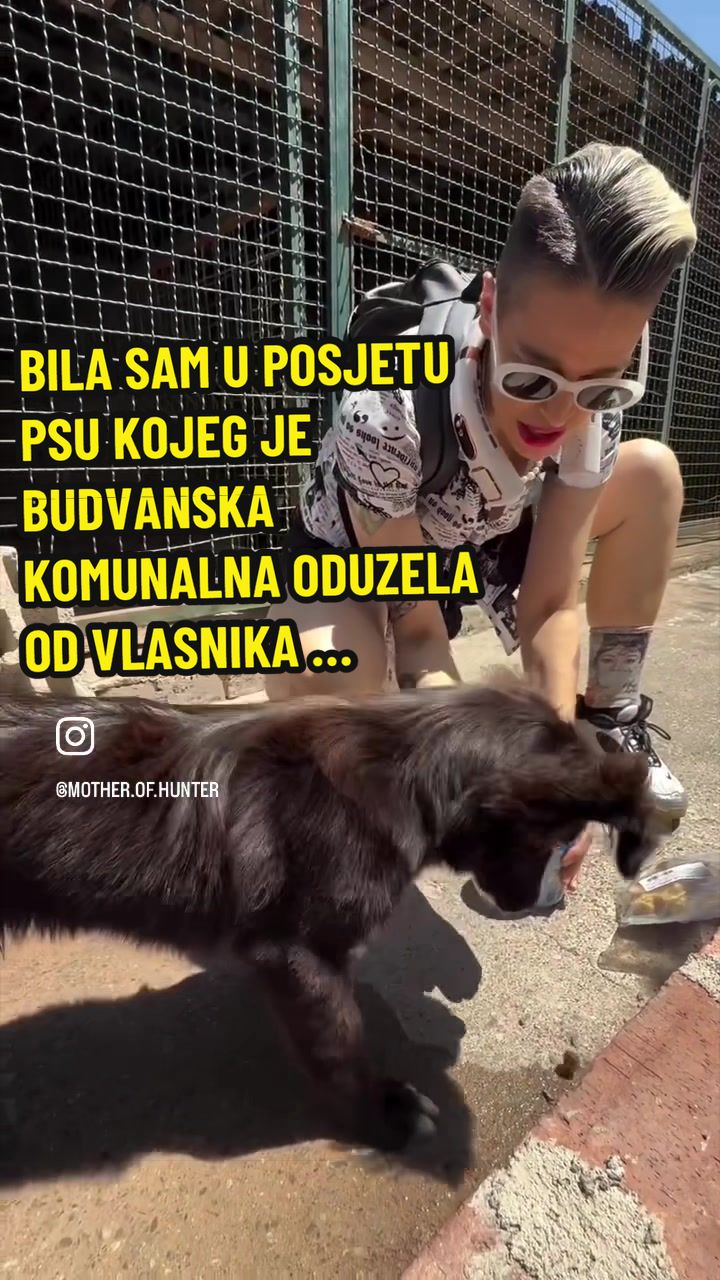 @Maja Kovijanic