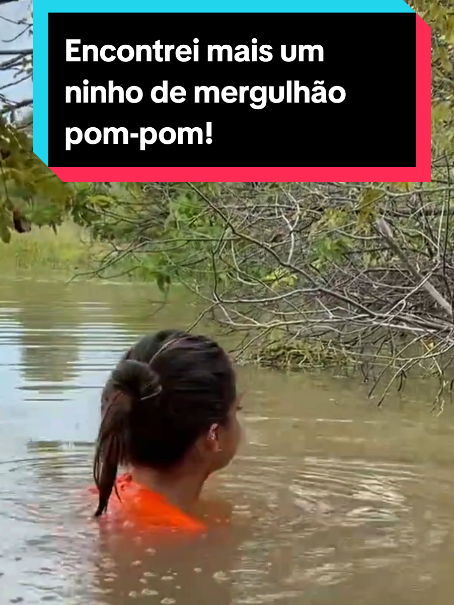 @Princesa das Serpentes