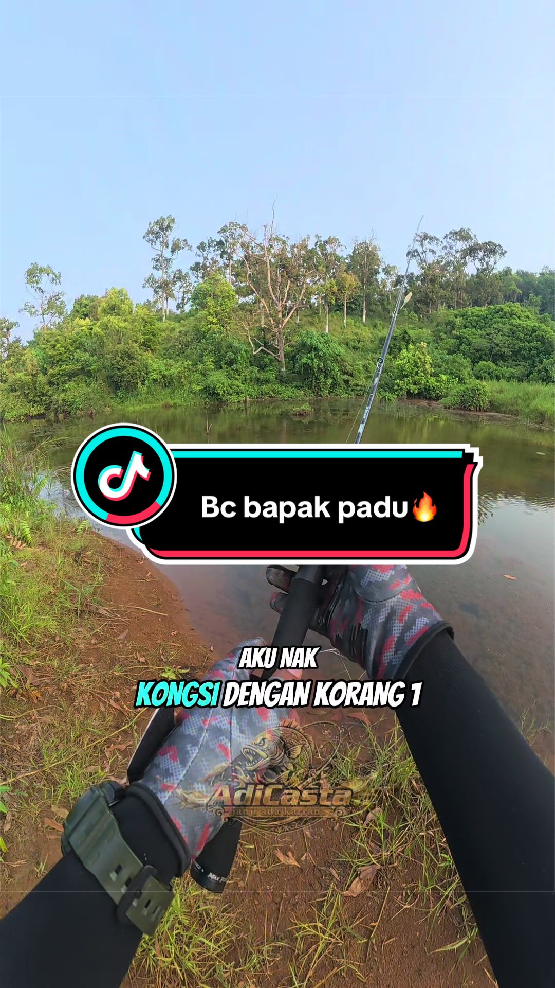 @adicasta1st