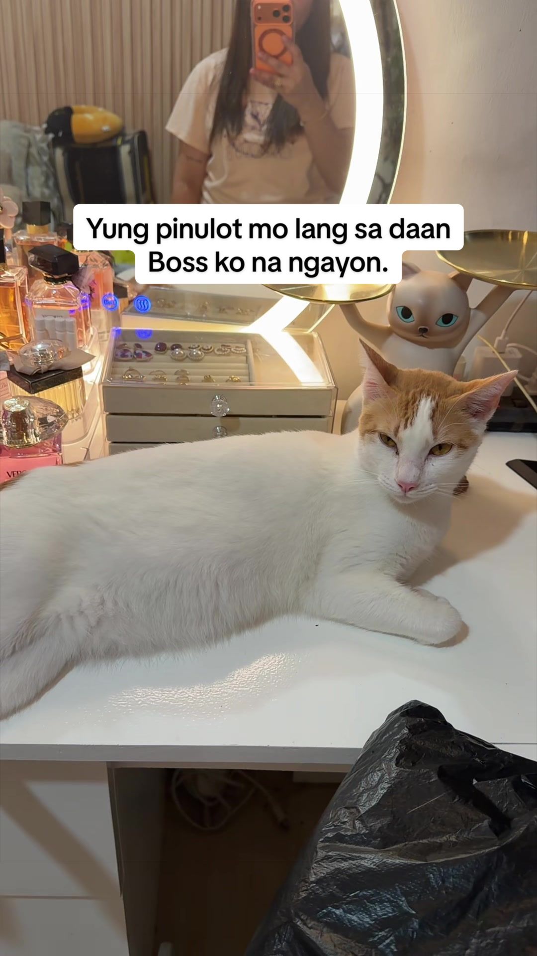 @Miss AM โฟ โ.๐ ฬ
