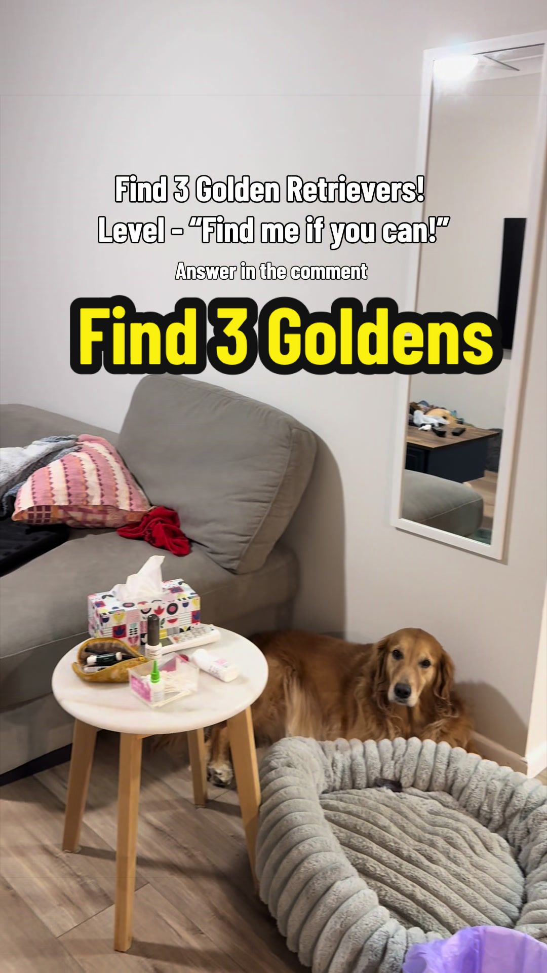 @3goldenretriever