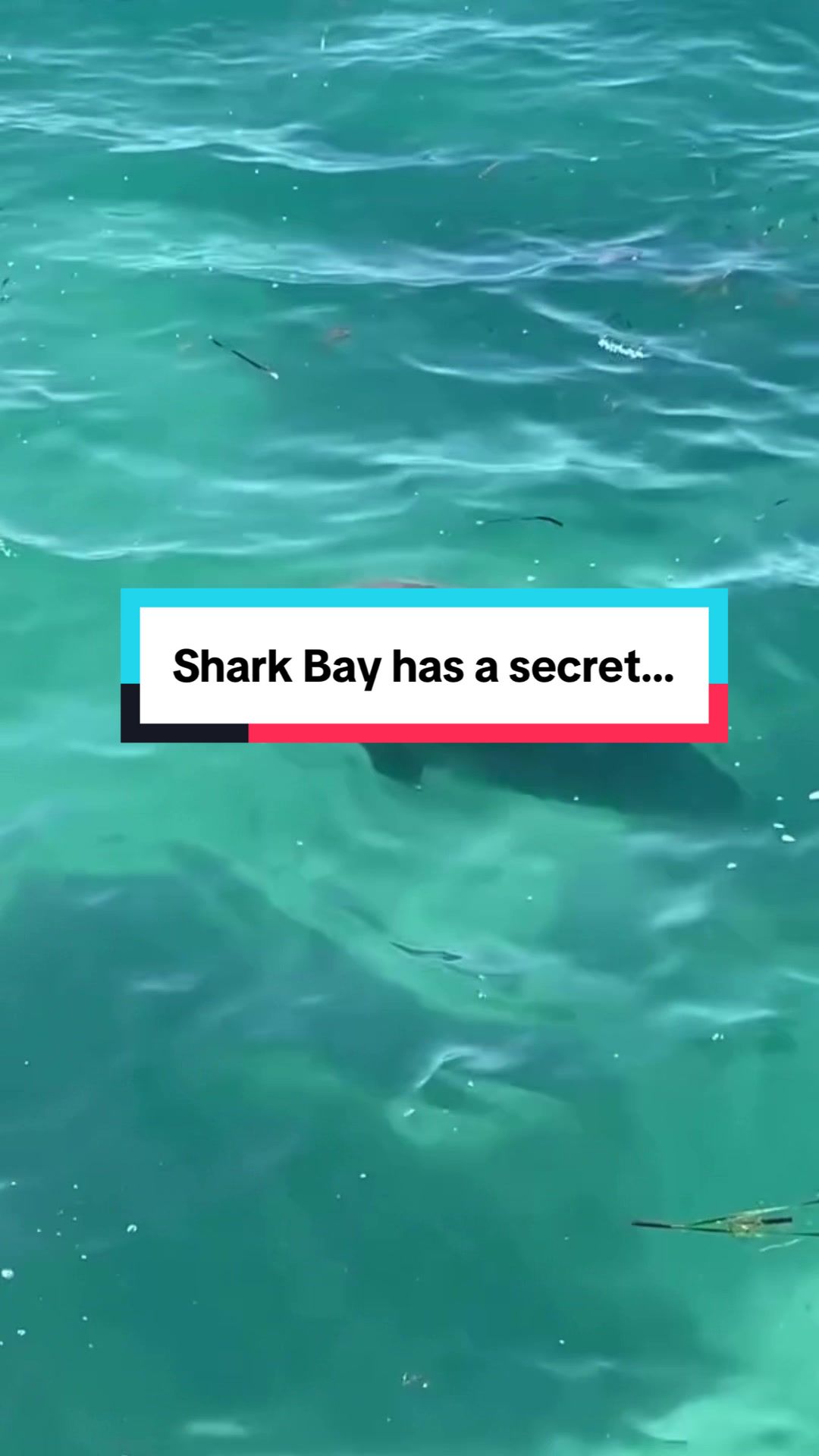 @Australia&rsquo;s Coral Coast