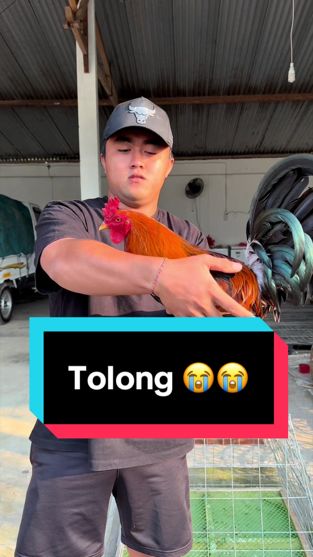@Doni artawan