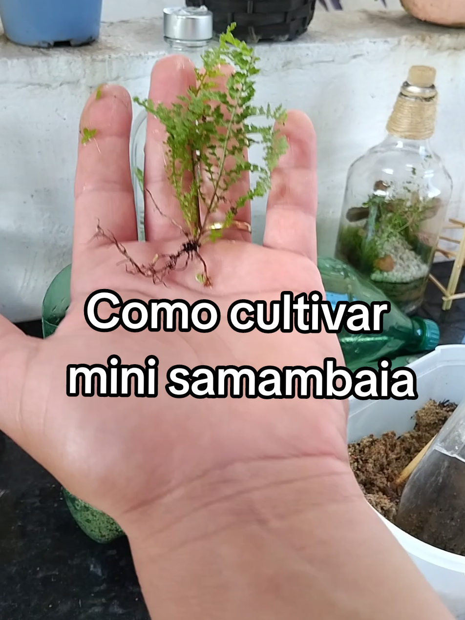 @EcoaBio - Educa&ccedil;&atilde;o Ambiental