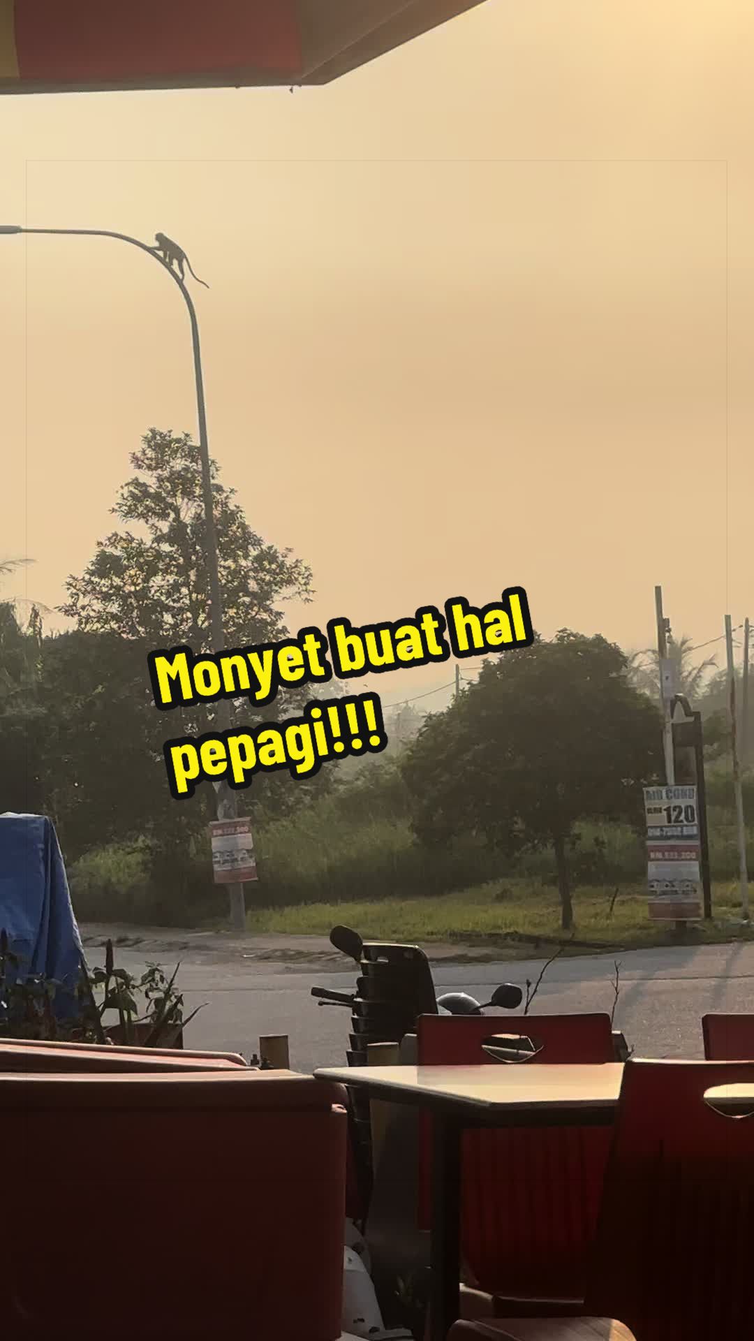 @Bunyaminzz