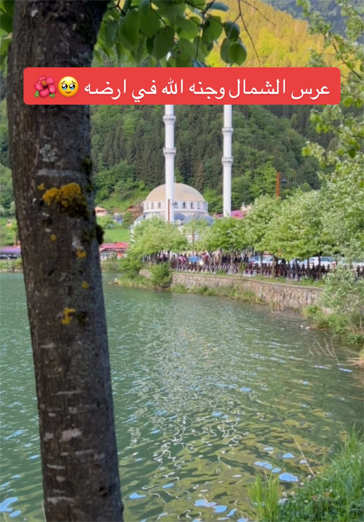 @TAQWA ALRUBAIAW تقوى الربيعاوي