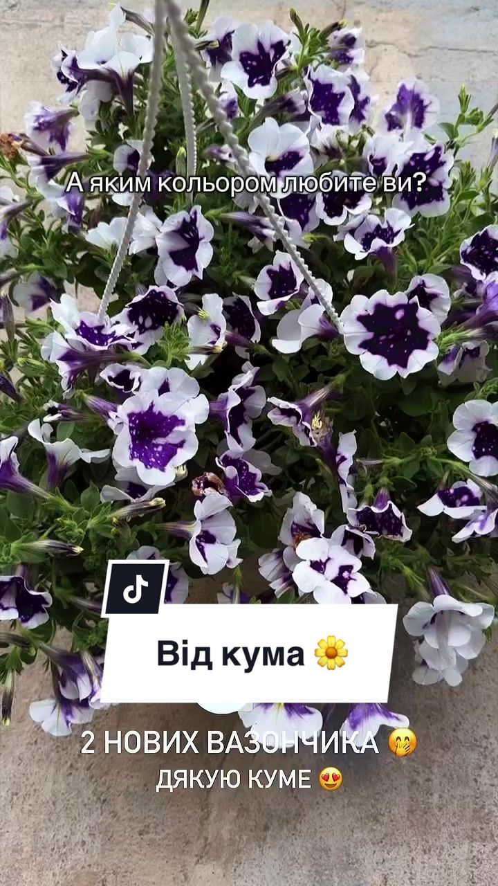 @marynchyna.s