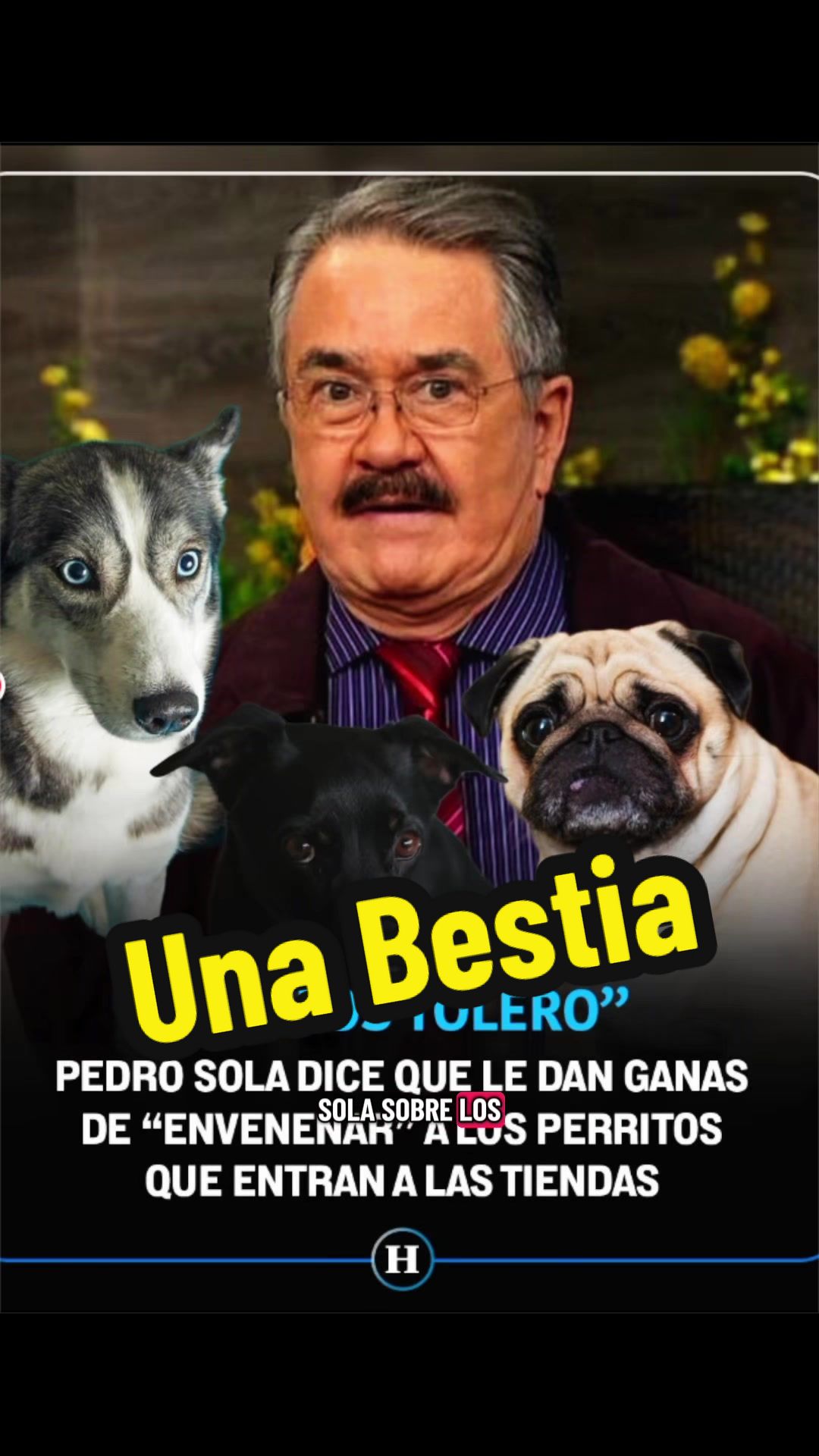 @Mister Naranjo
