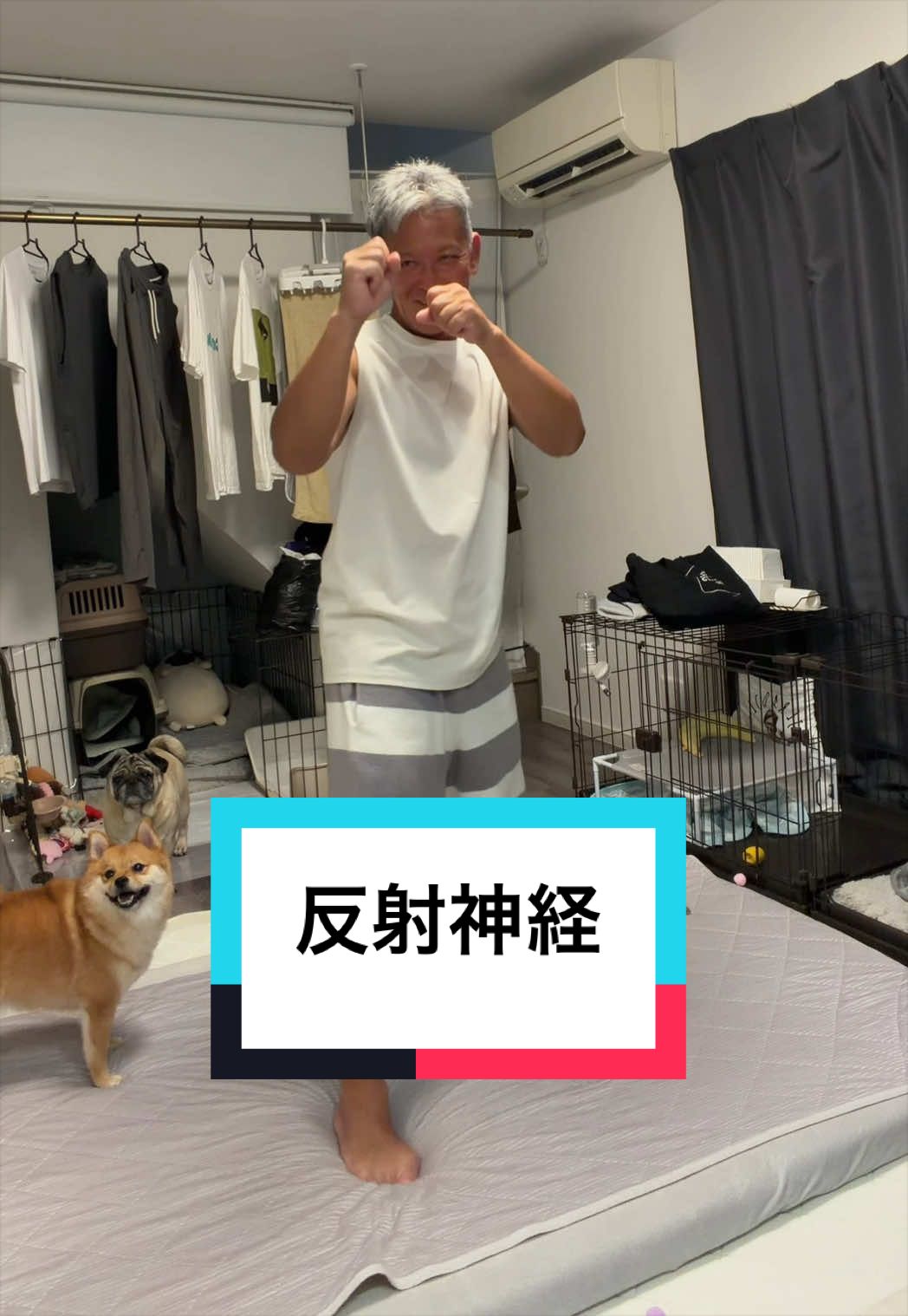 @🐶とん&ぺっぺこぺー🦊
