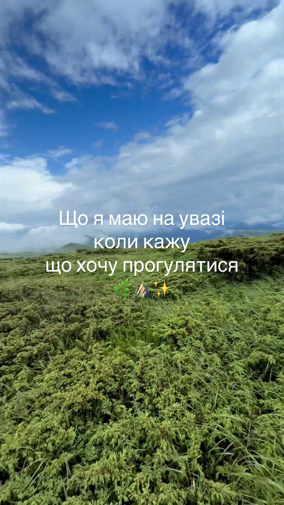 @DubovikY