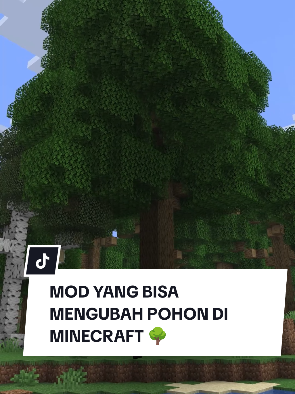 @SENOVSHOP OFFICIAL