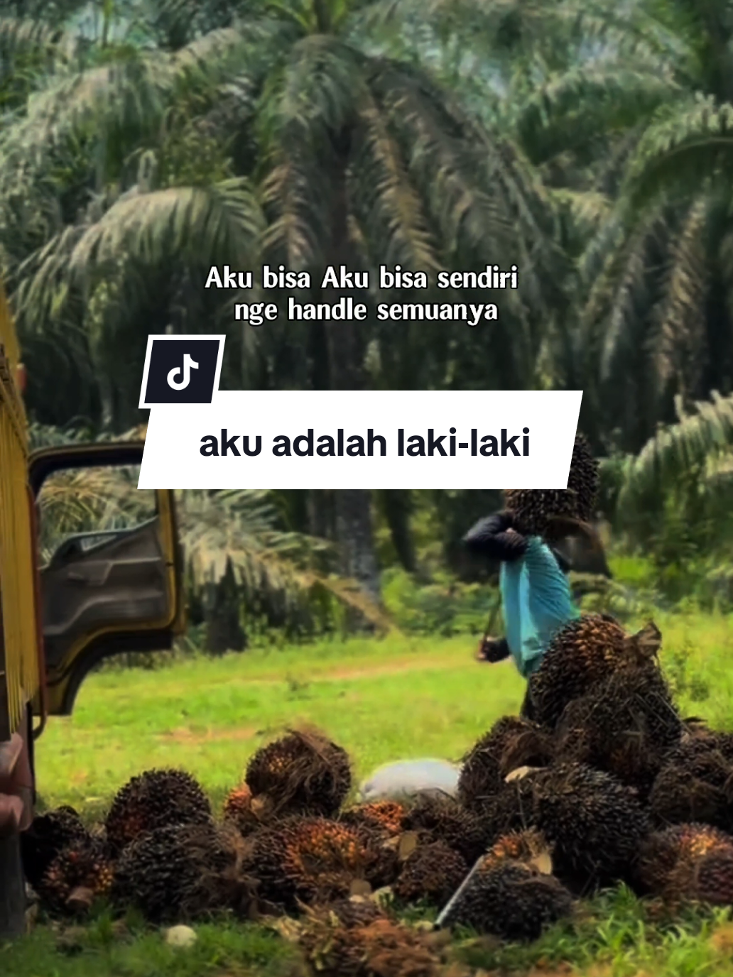 @SHY