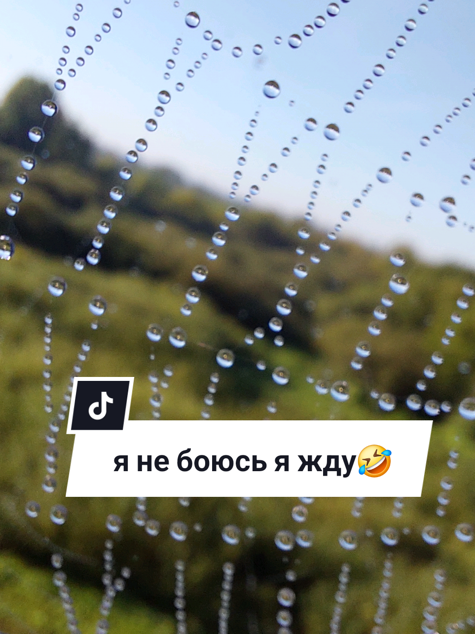 @Рыся✔️🇧🇾
