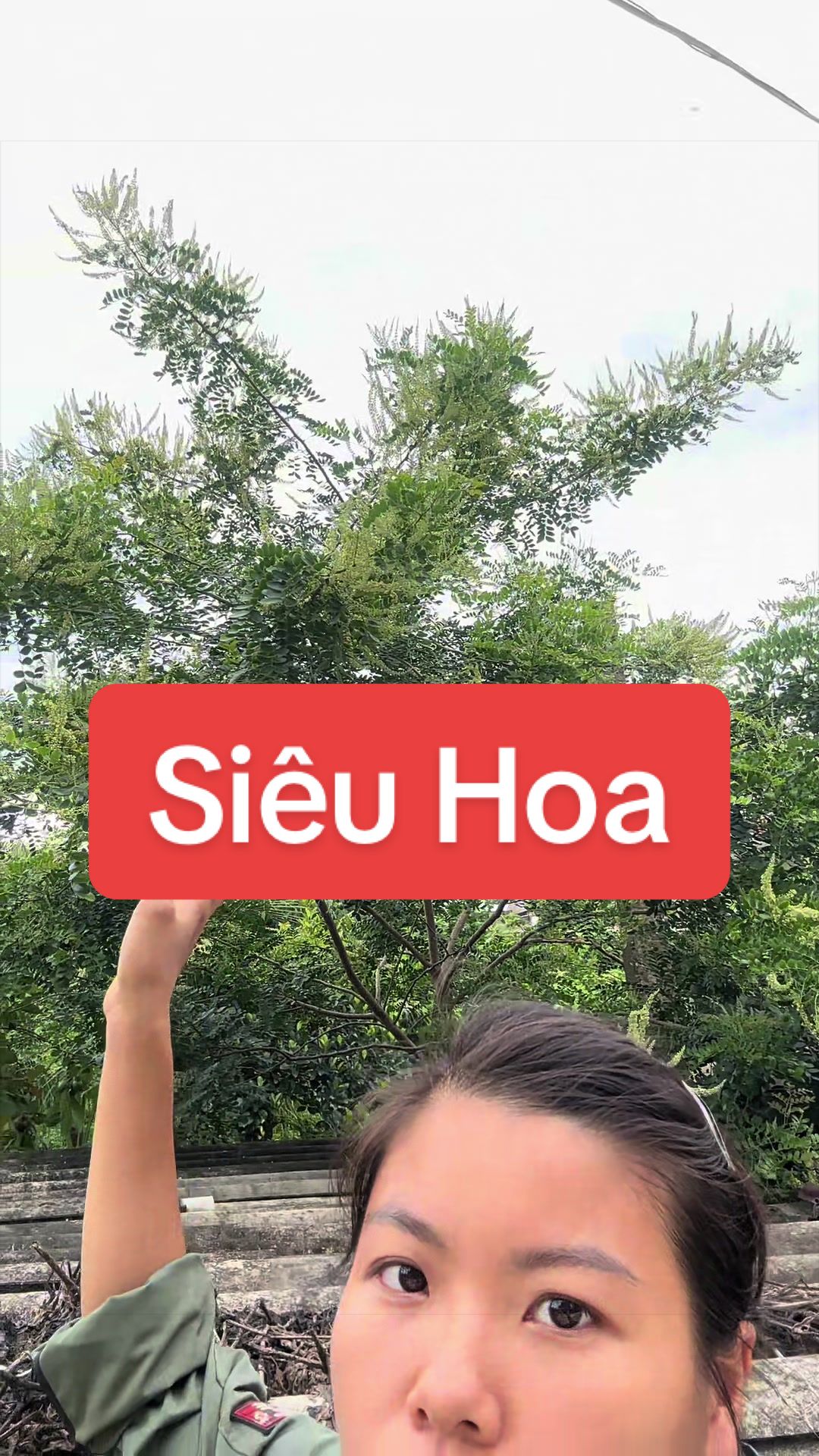 @Nh&agrave; Vườn Vũ Mai