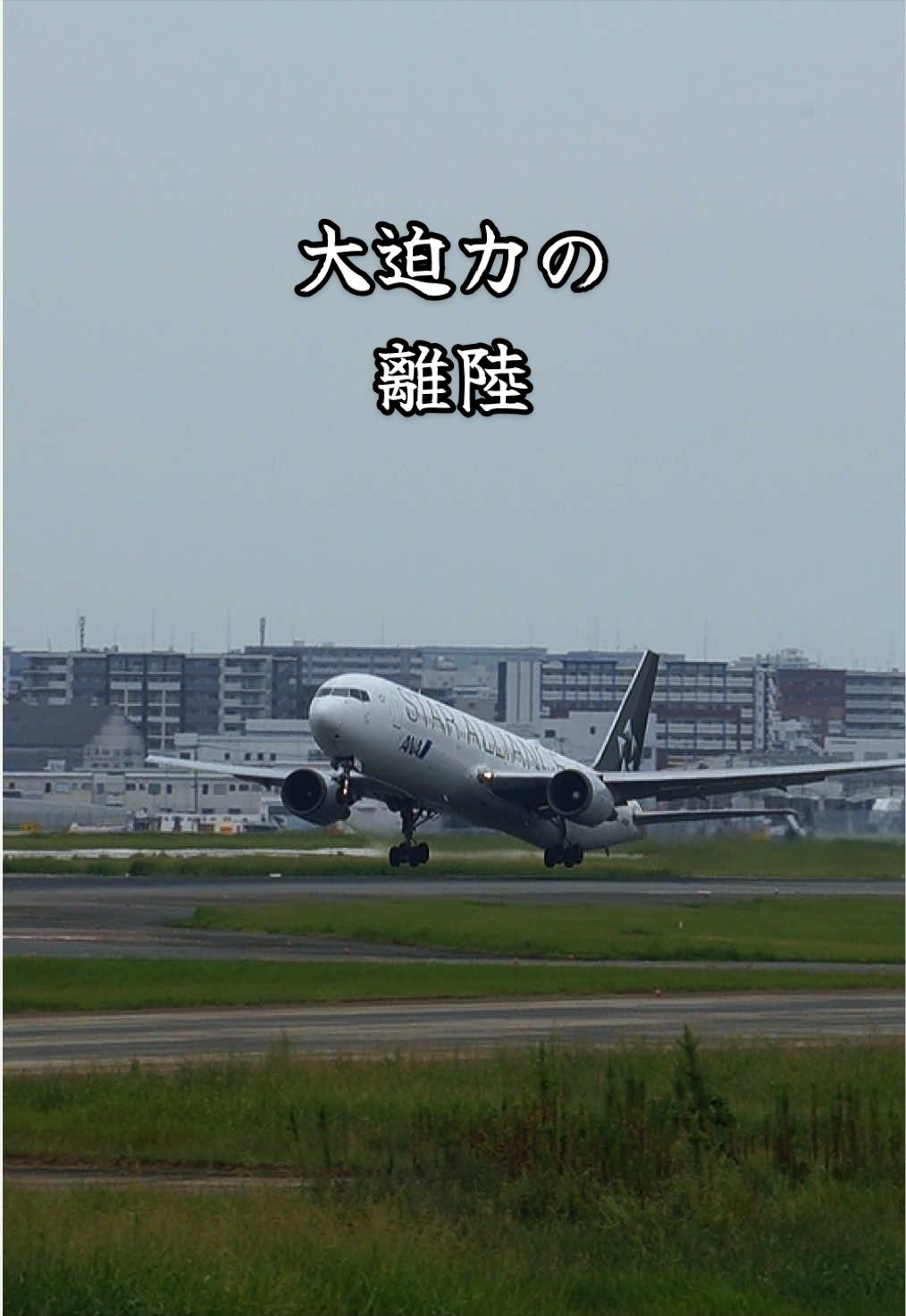 @⚾️✈️Mr.Furuconda🇯🇵🐍🦅