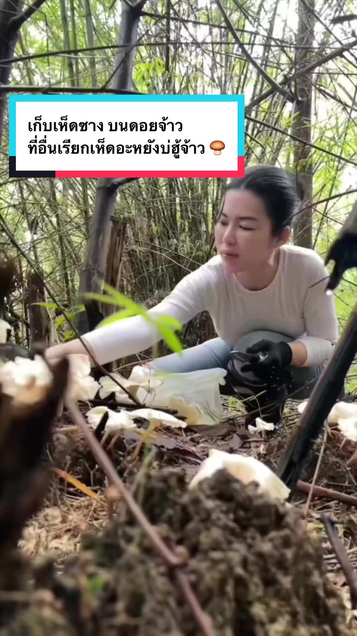 @ไก่ เจนจิรา ที่นี่เสริมนม