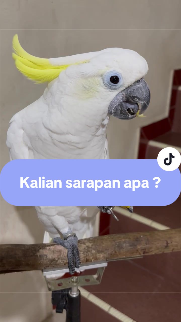 @bio_bege