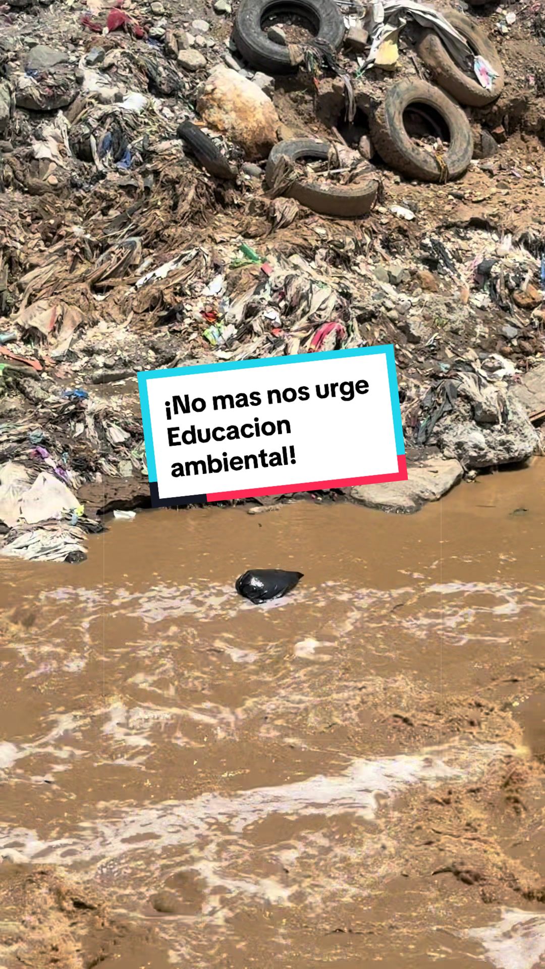 @Isabel Paiz