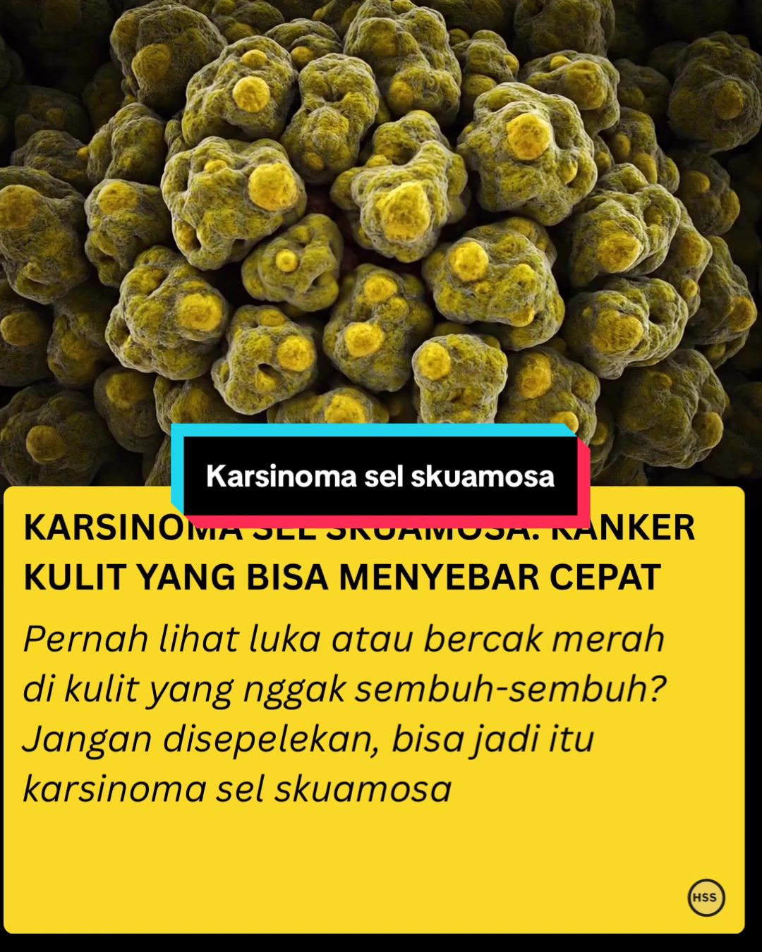 @healthstorysociety