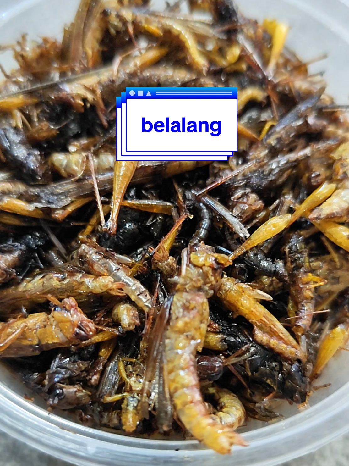 @bu kat