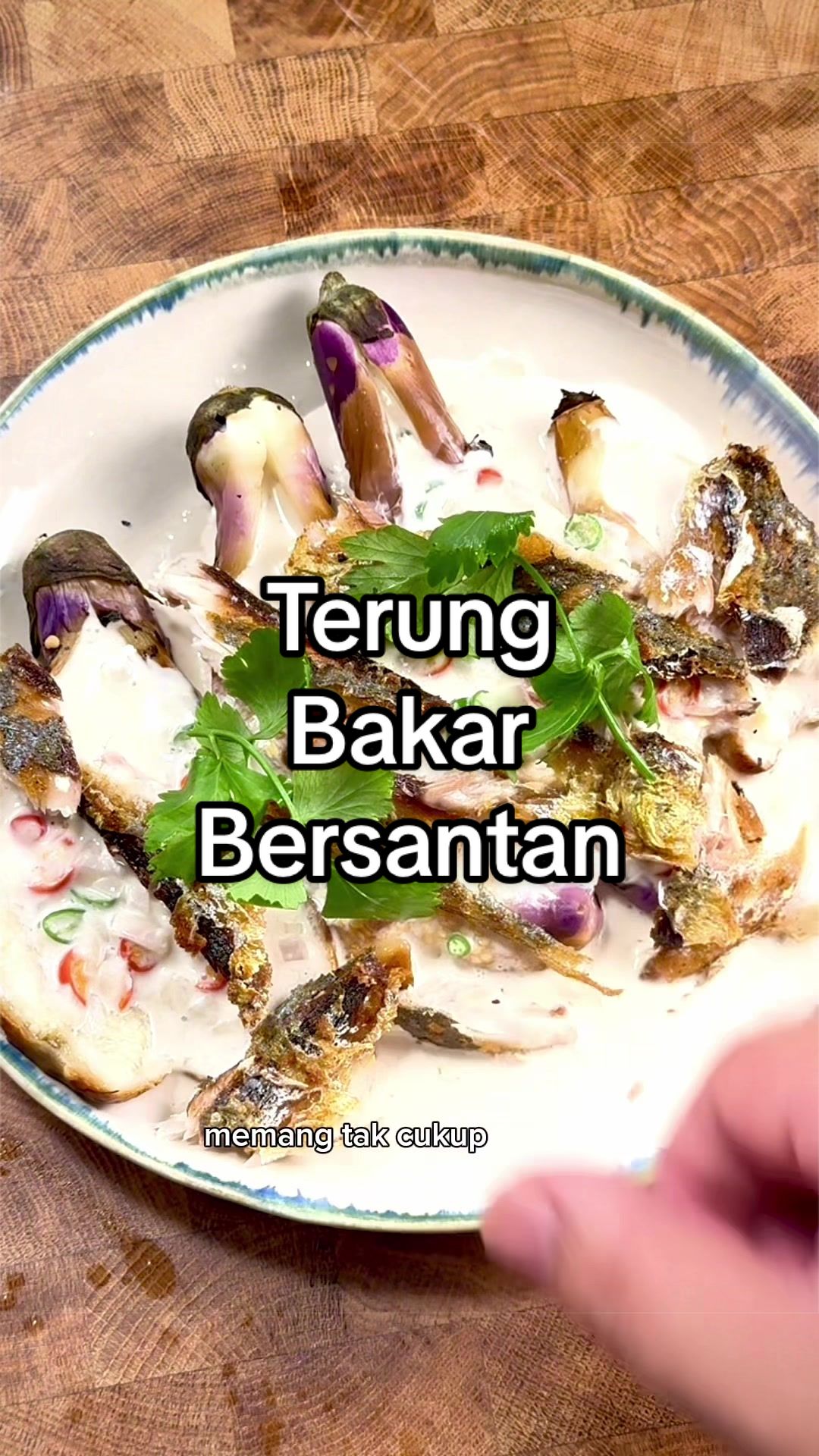 @Amir Gani