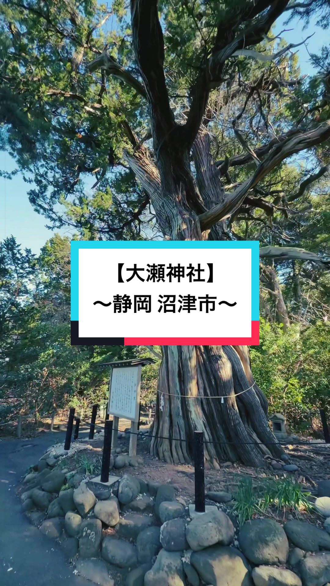 @開運きむにぃ