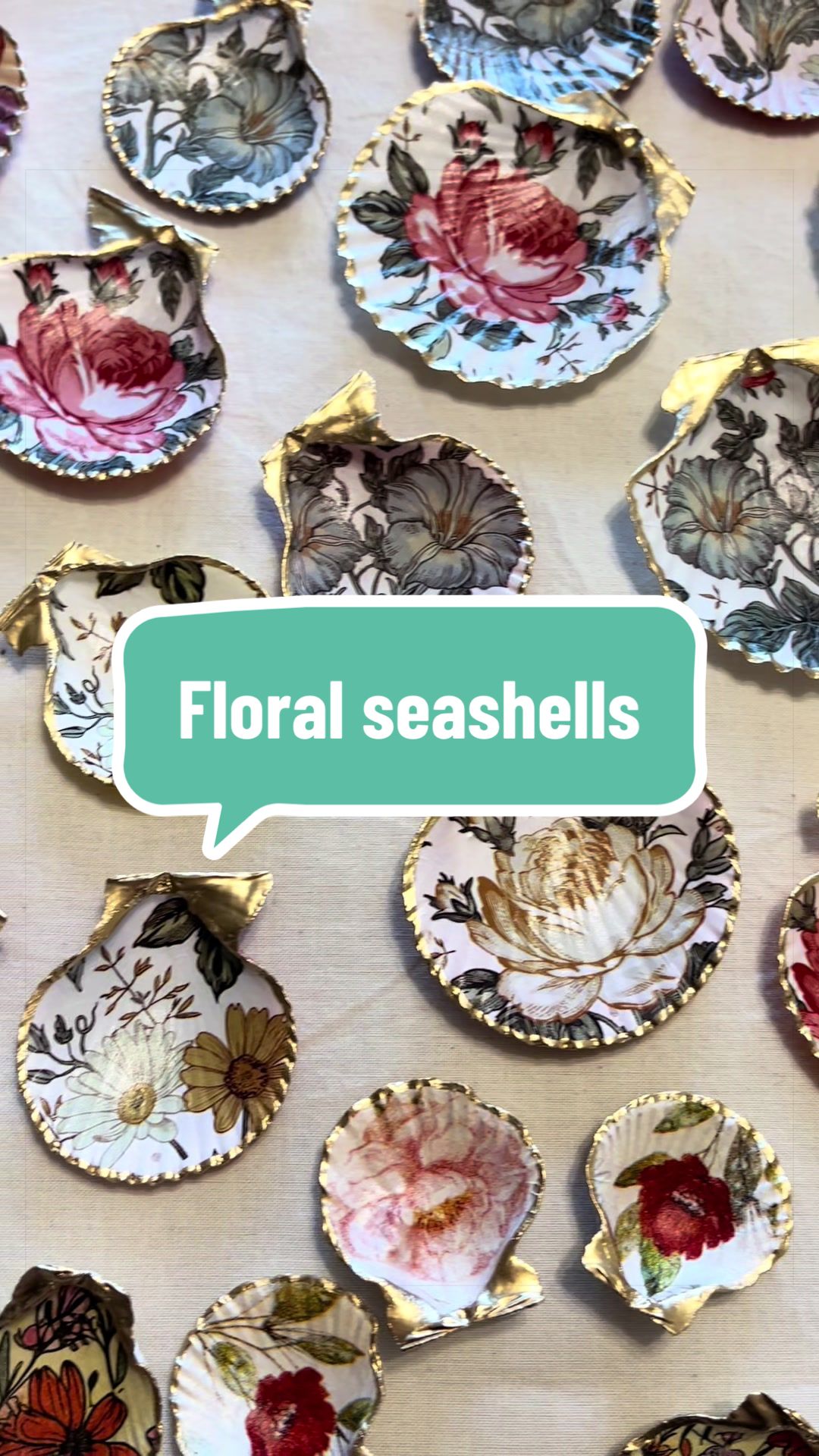 @Dusty J Designs | Shells