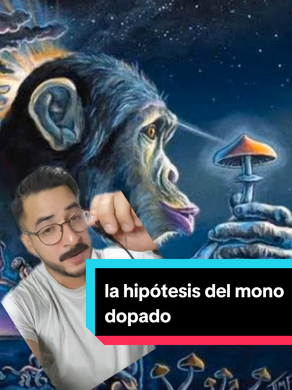 @nolosejose