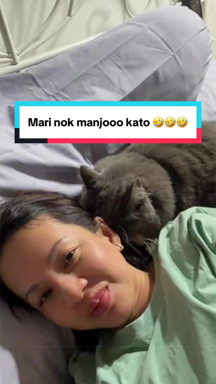@Kimmy Pet Style