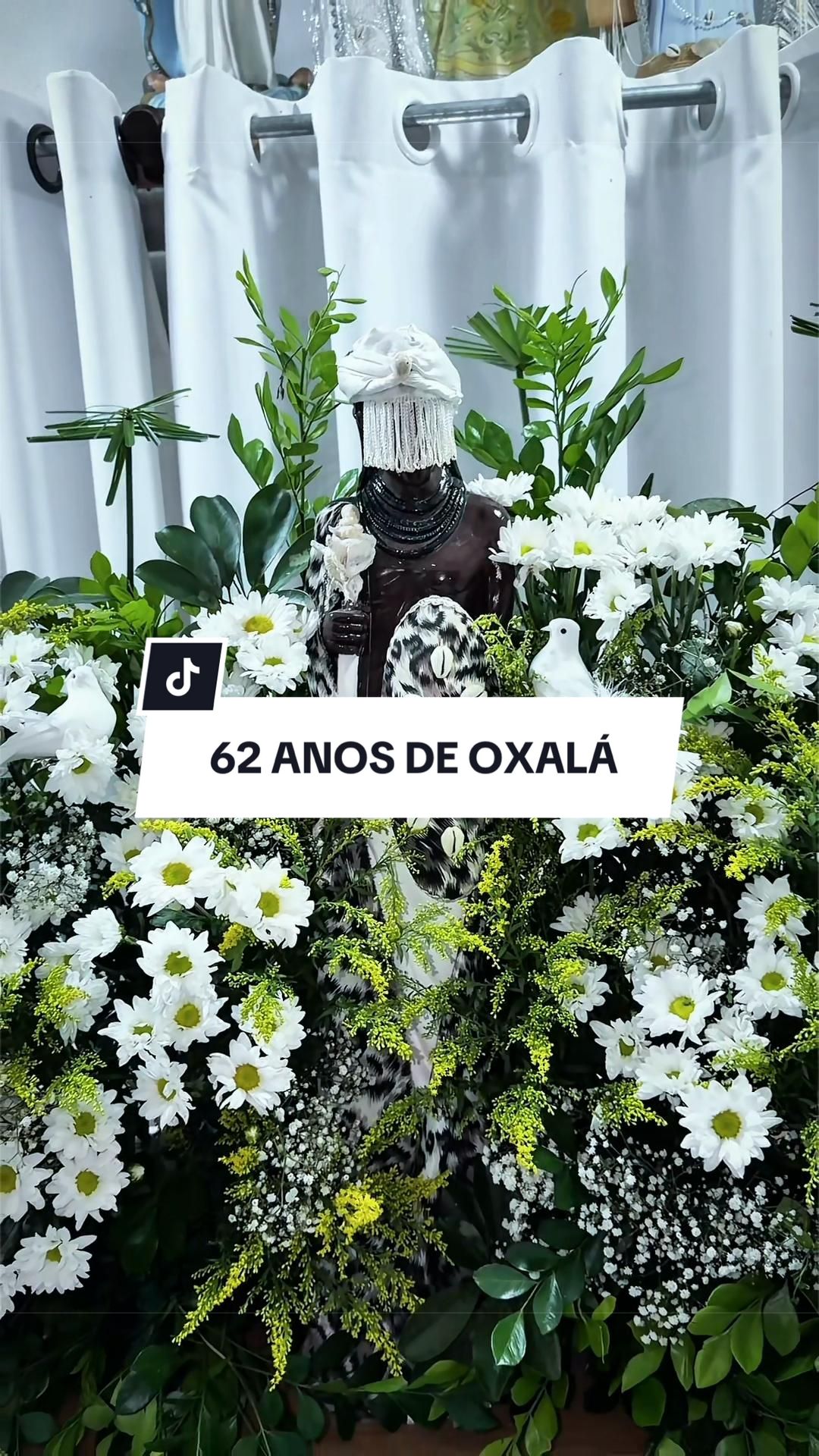 @Pai Matheus de Xang&ocirc;