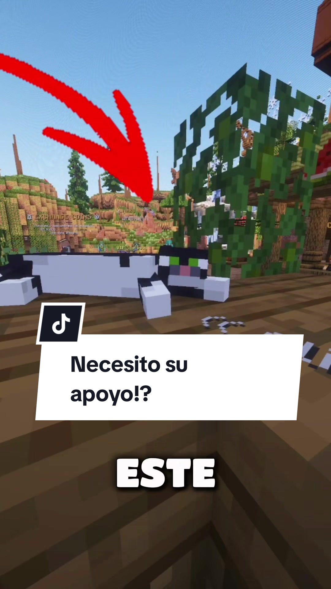 @ElChitolin