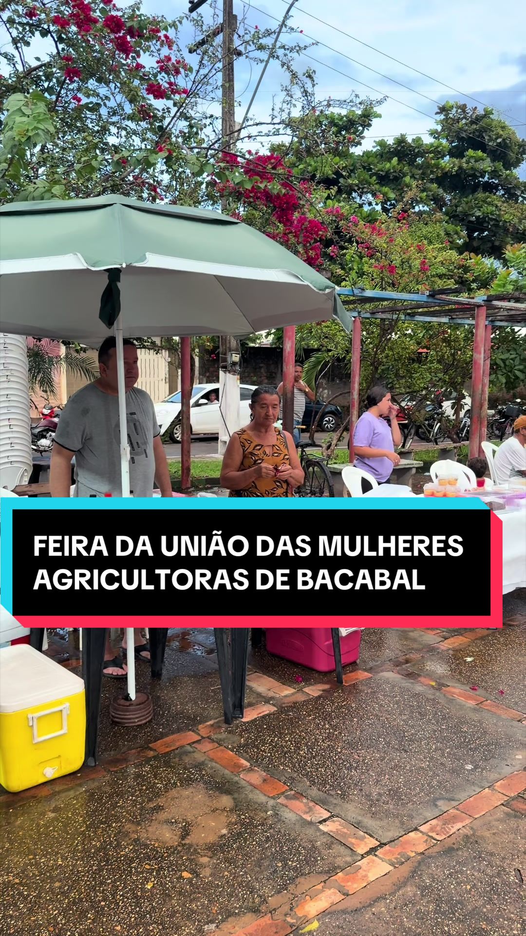 @André Luis Repórter