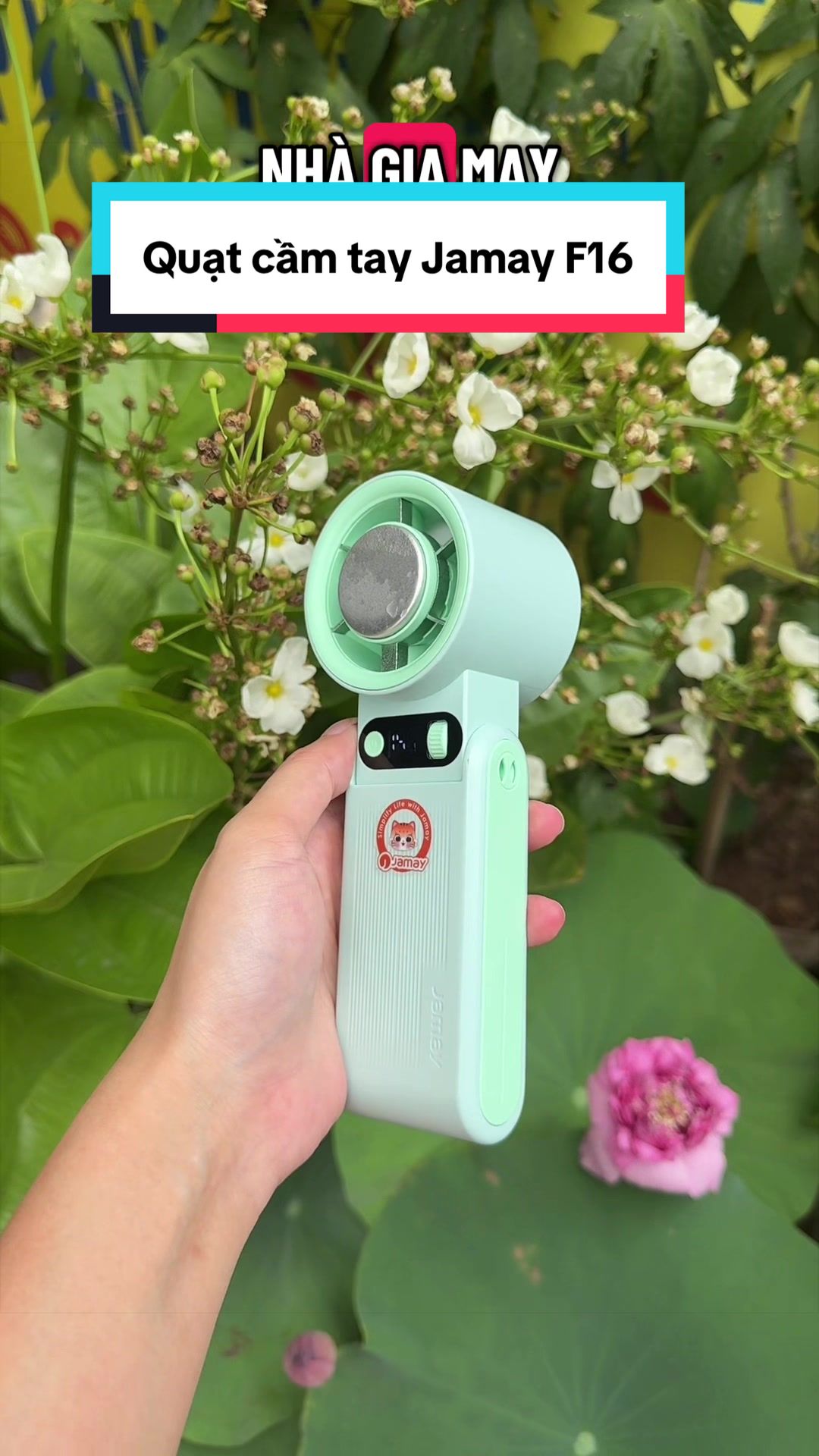 @Tuấn B&igrave;nh Thường
