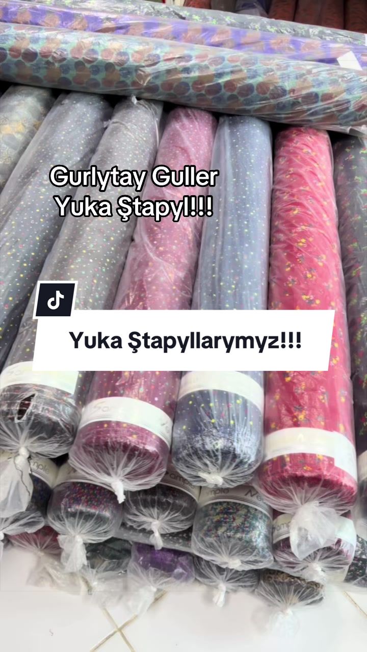 @Birinji el Optam Stapyllar1