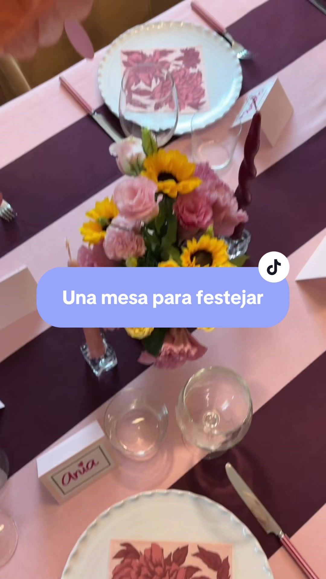 @aniavillasenor