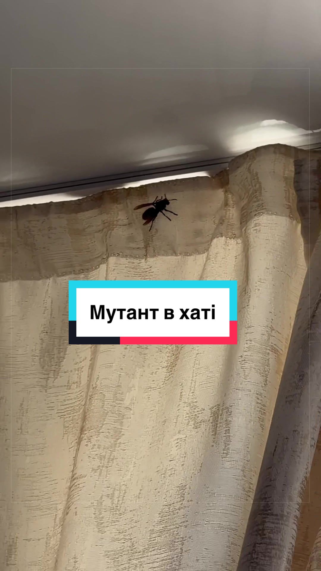 @Семенович