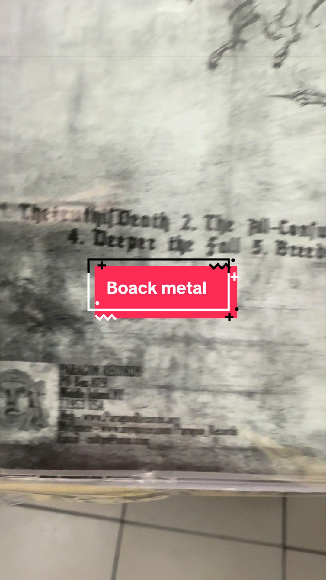 @Musicalobestia