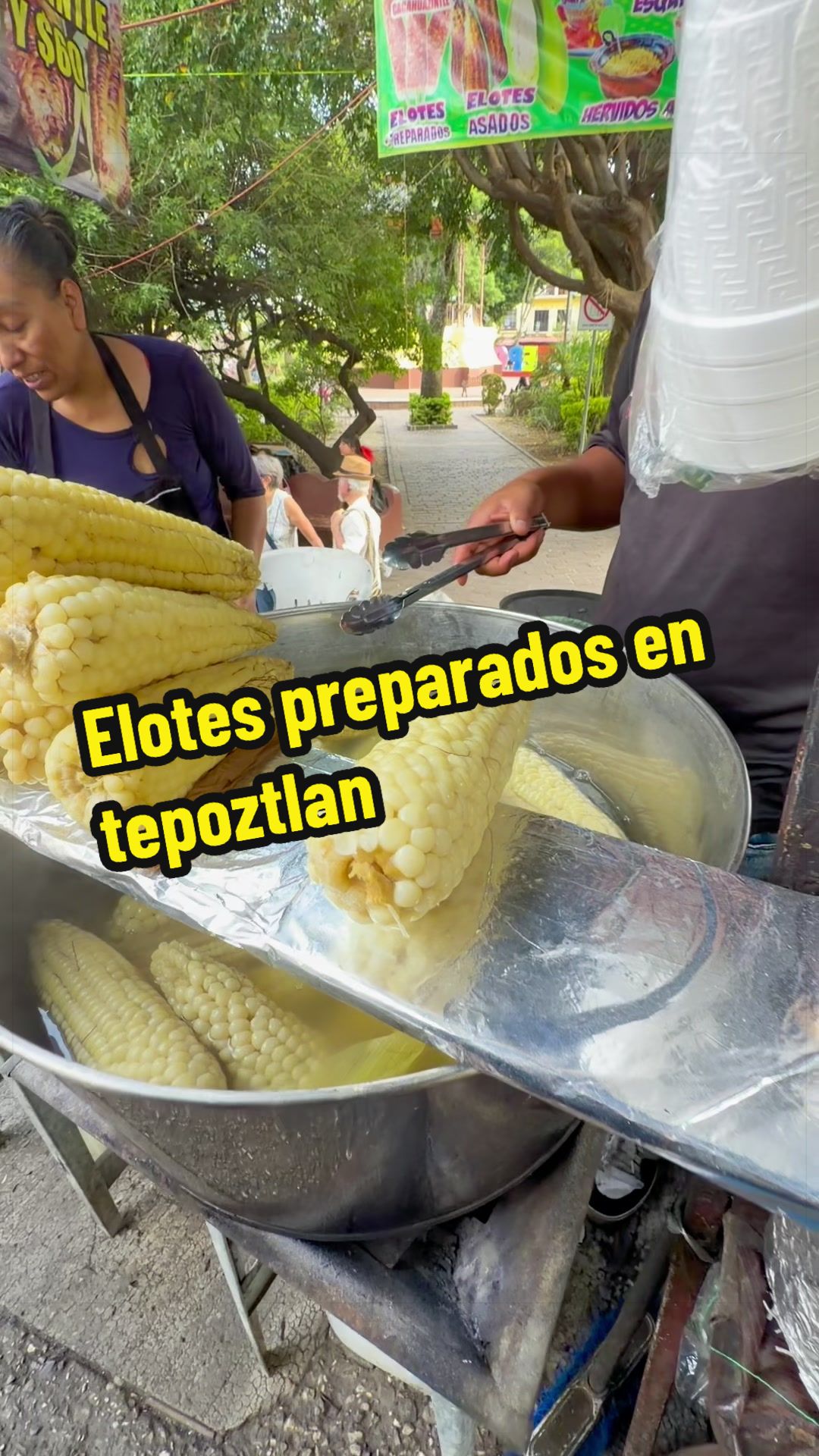 @elbauldemorelosoficial