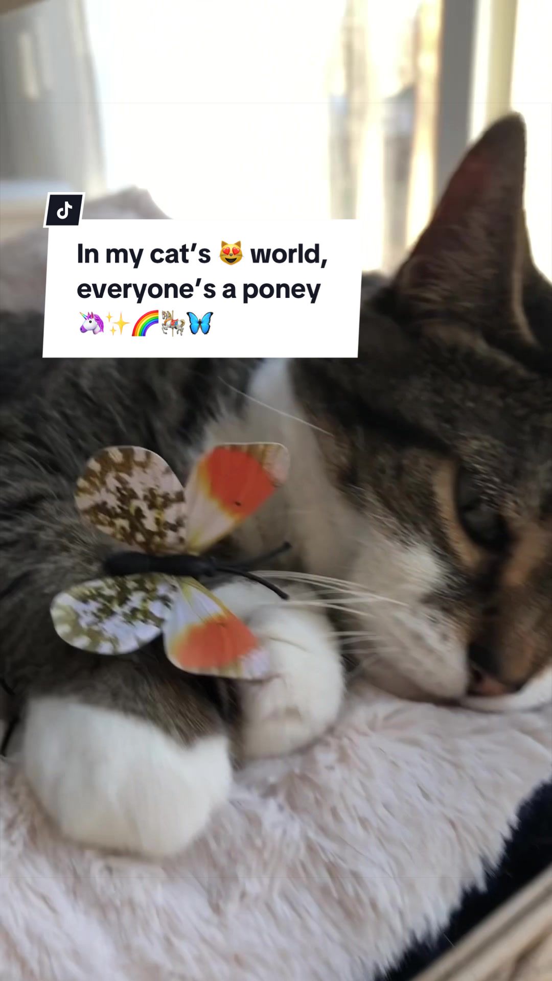 @Poup&eacute;e and friends