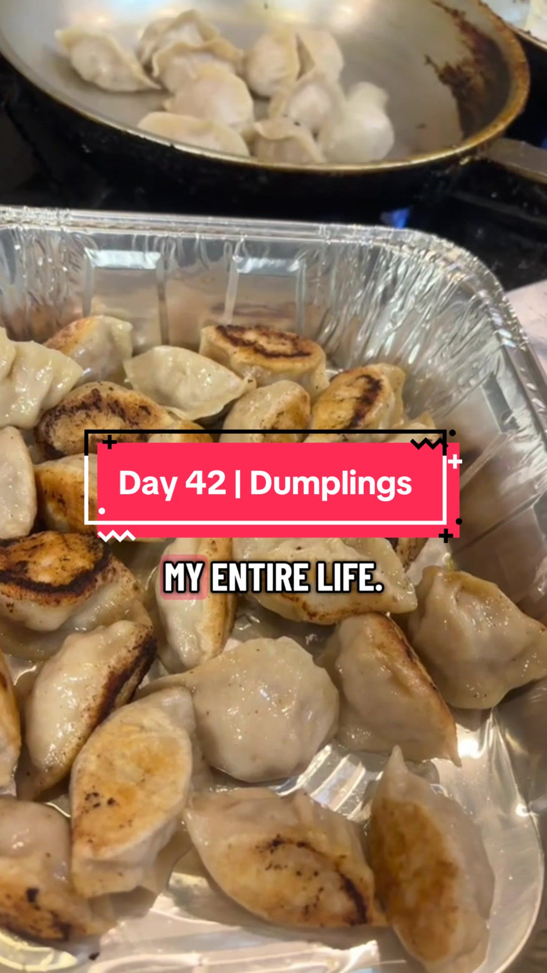 @thedumplingprince
