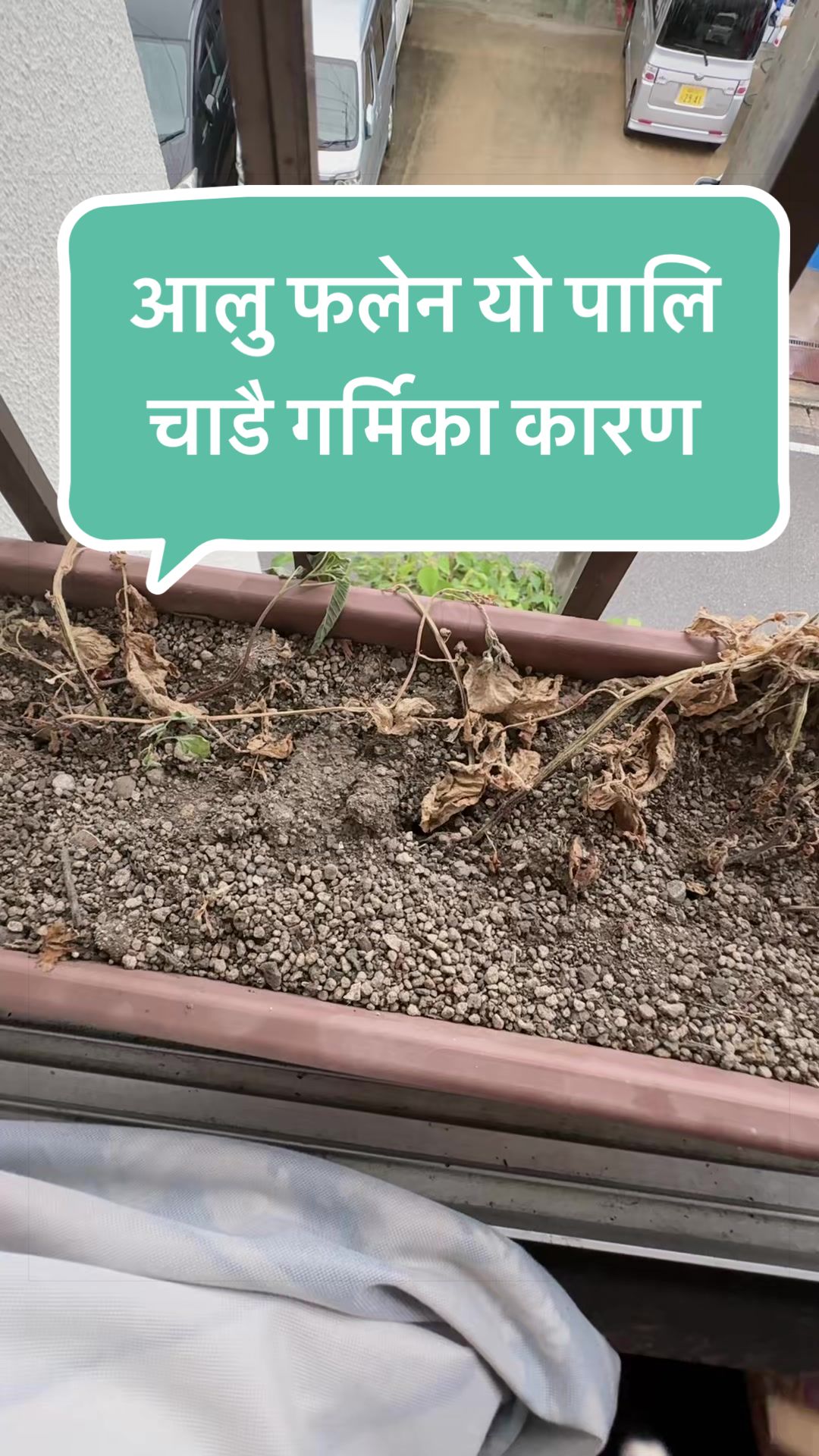 @sunita nepal