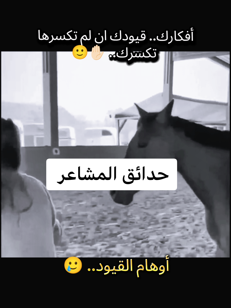 @فادية🦋